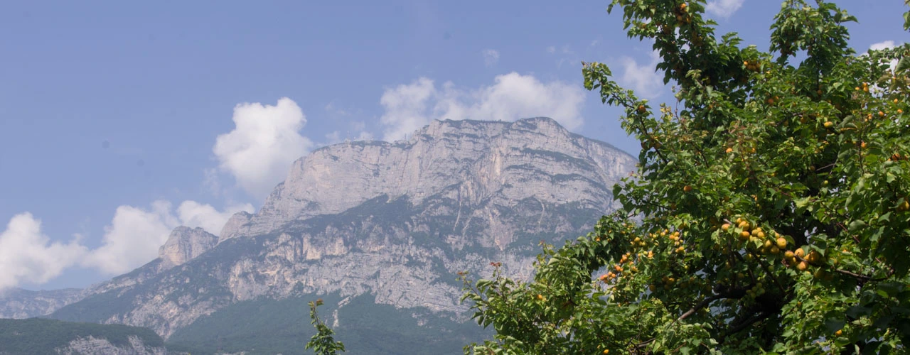 Agritur Piffer property and surroundings