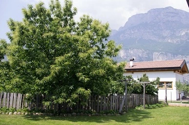 View of Paganella mountain